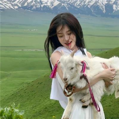 第19分部