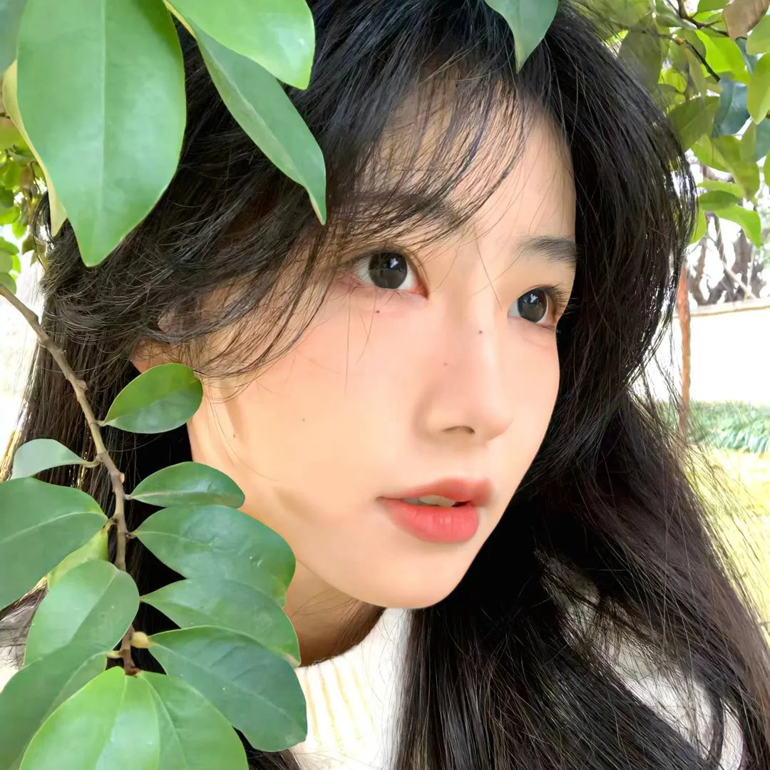 梅艳芳菲